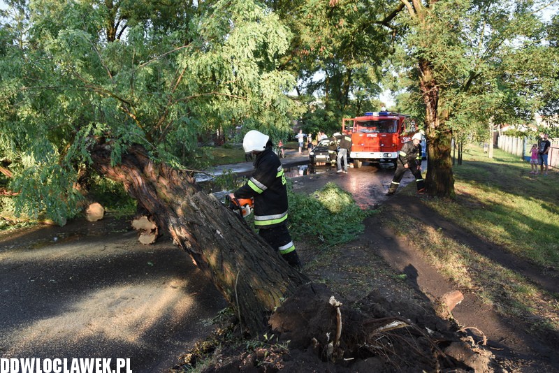 Drzewo zablokowało ulicę Grodzką