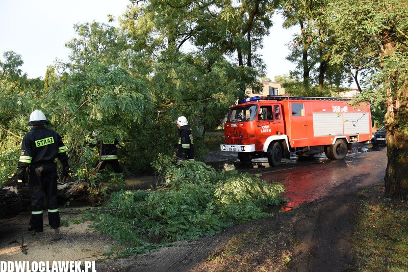 Drzewo zablokowało ulicę Grodzką