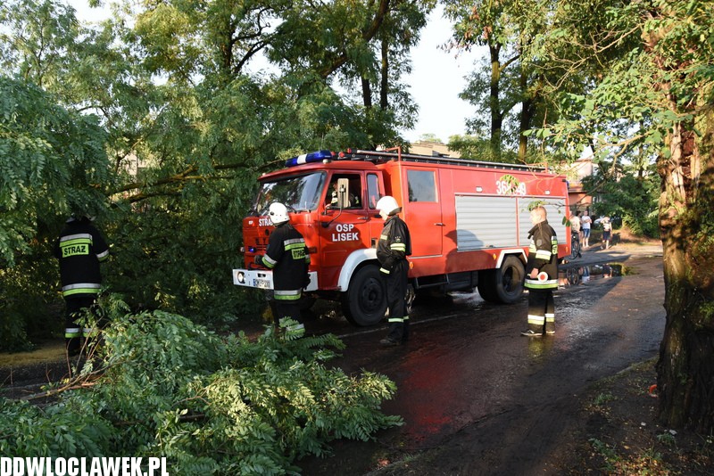 Drzewo zablokowało ulicę Grodzką