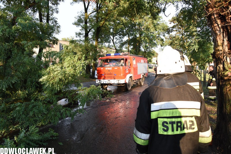 Drzewo zablokowało ulicę Grodzką