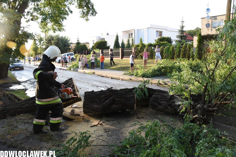 Drzewo zablokowało ulicę Grodzką