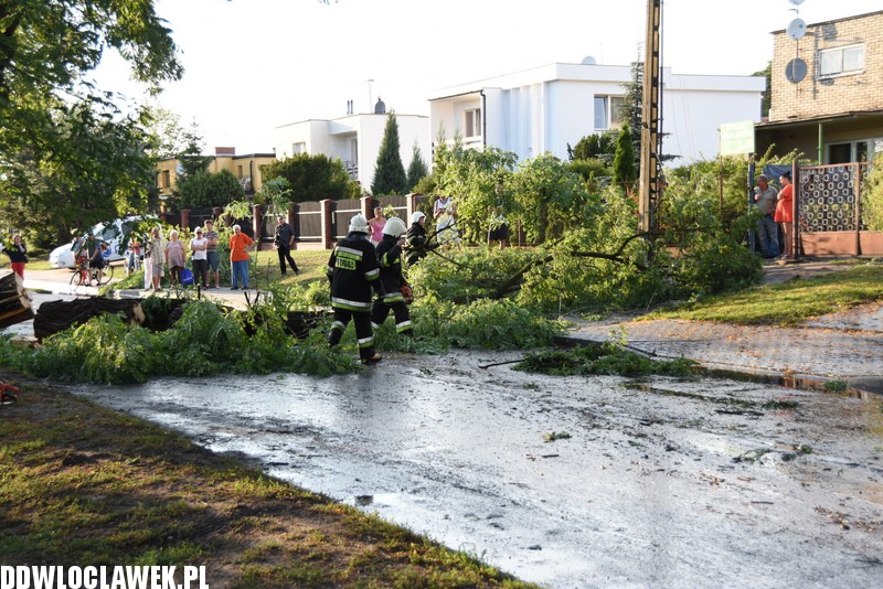 Drzewo zablokowało ulicę Grodzką