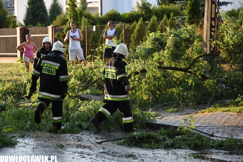 Drzewo zablokowało ulicę Grodzką