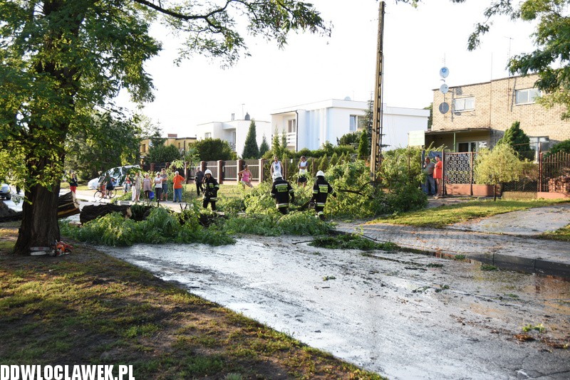 Drzewo zablokowało ulicę Grodzką