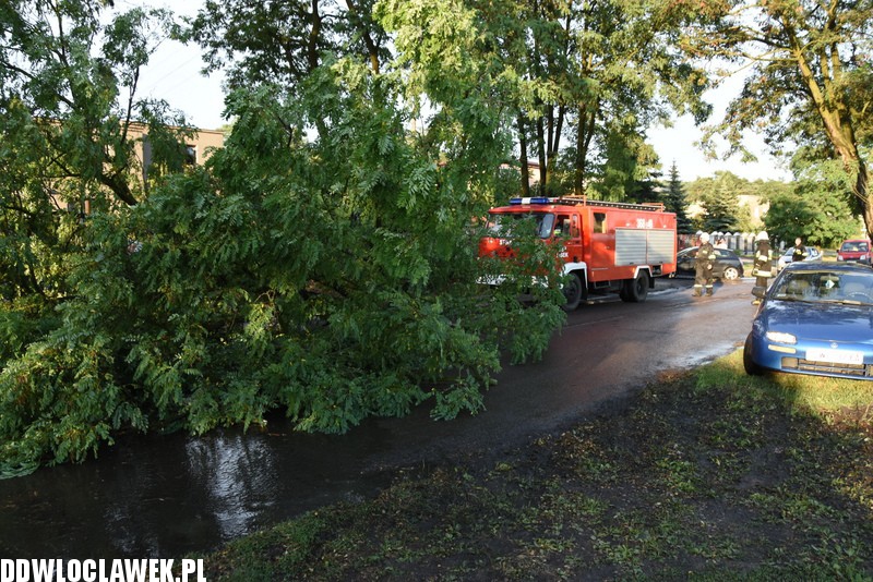 Drzewo zablokowało ulicę Grodzką