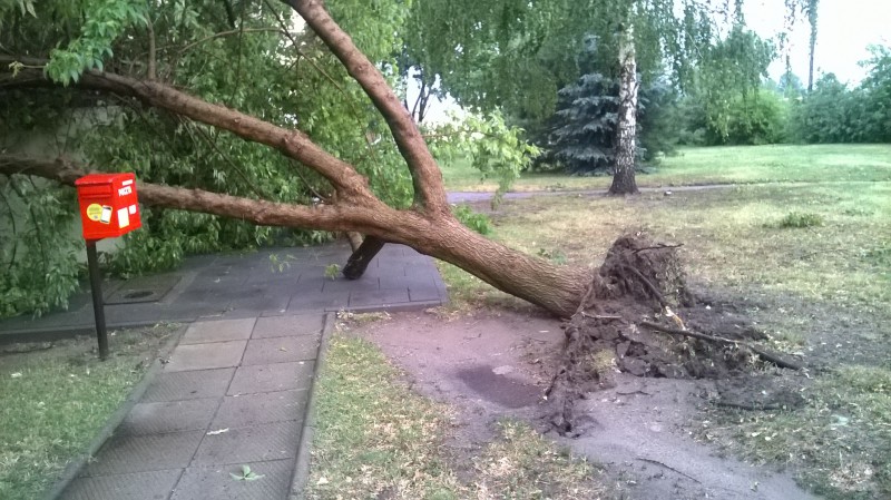 Skutki ulewy we Włocławku