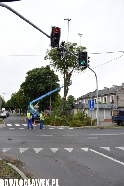 Wycinka uszkodzonych drzew