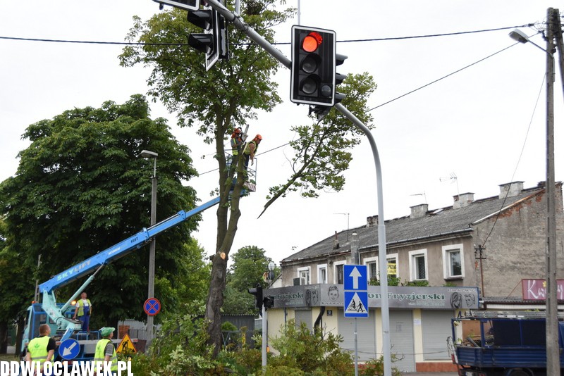Wycinka uszkodzonych drzew