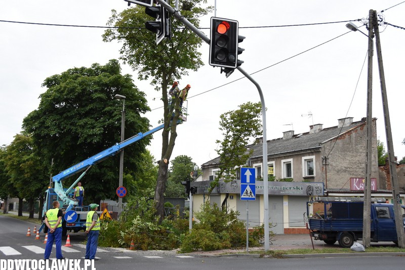 Wycinka uszkodzonych drzew