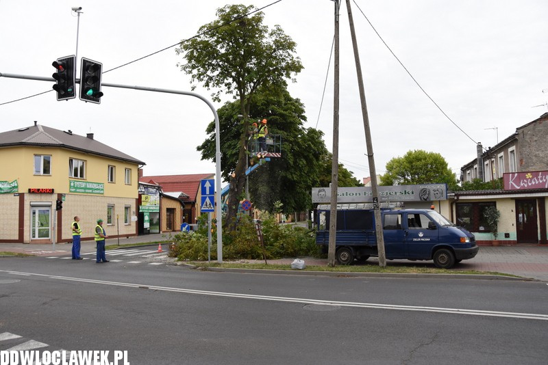 Wycinka uszkodzonych drzew