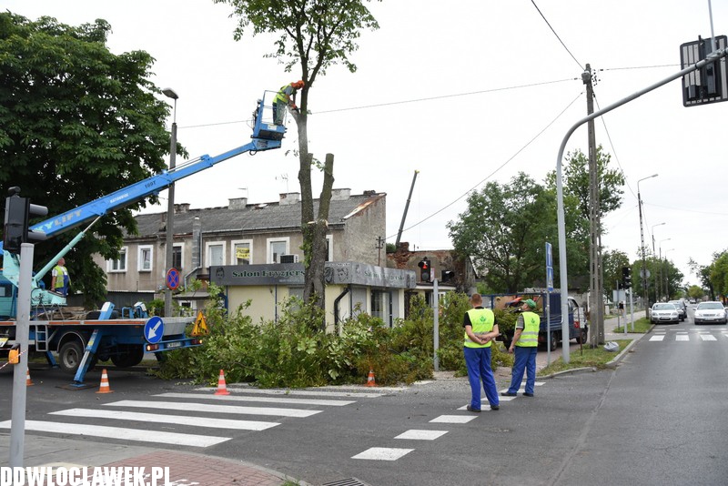Wycinka uszkodzonych drzew