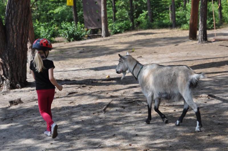 Wakacje w parku linowym