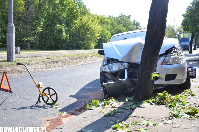 Auto wylądowało na drzewie