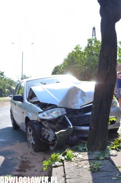 Auto wylądowało na drzewie
