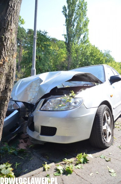 Auto wylądowało na drzewie