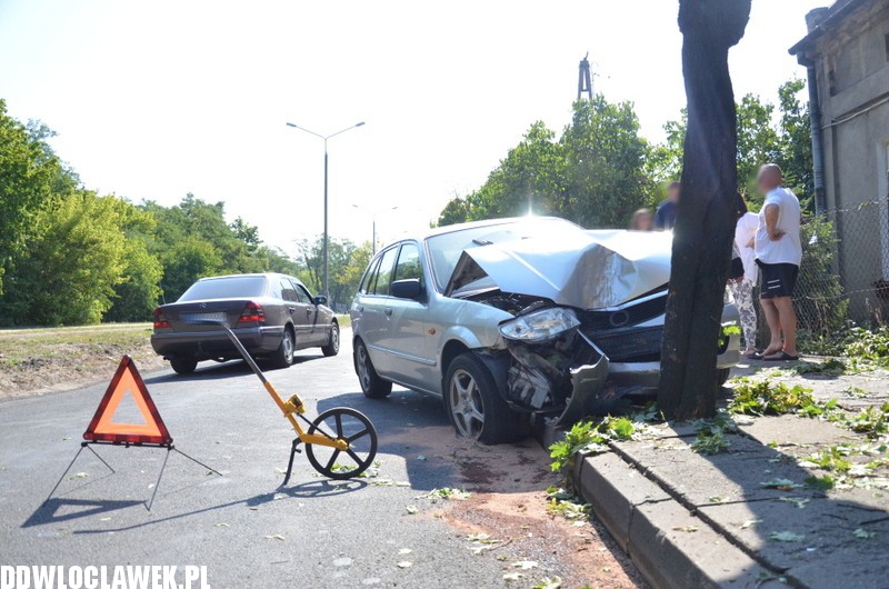 Auto wylądowało na drzewie