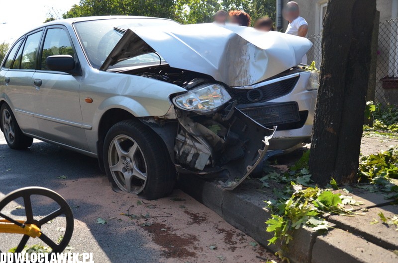 Auto wylądowało na drzewie