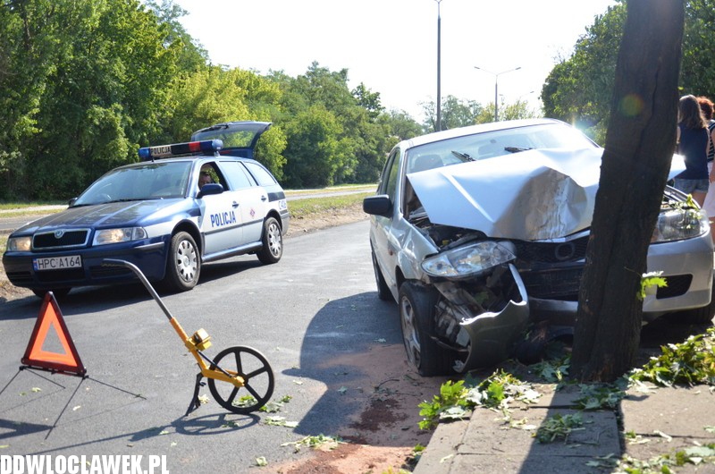 Auto wylądowało na drzewie