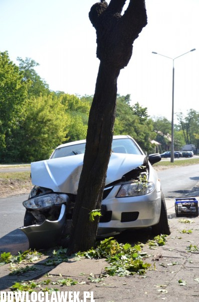 Auto wylądowało na drzewie