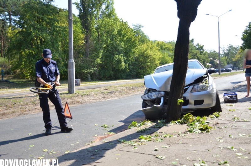 Auto wylądowało na drzewie