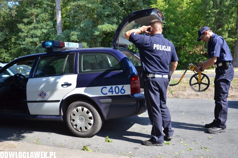 Auto wylądowało na drzewie