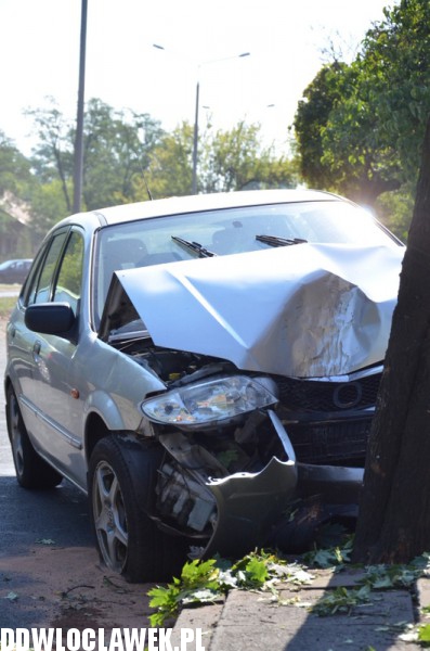 Auto wylądowało na drzewie