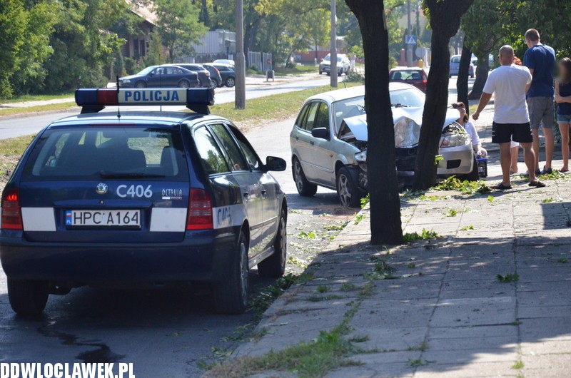 Auto wylądowało na drzewie