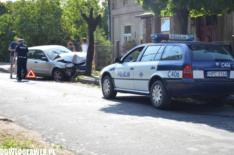 Auto wylądowało na drzewie