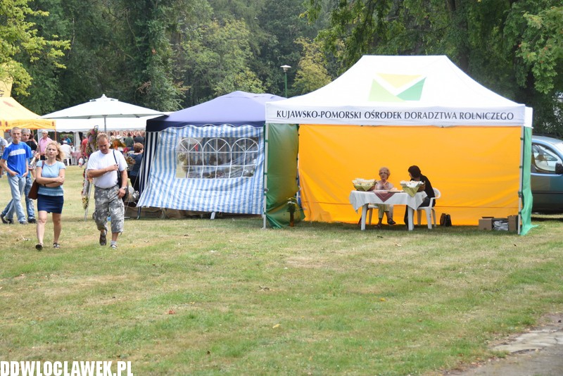 Miodowe Lato w Zarzeczewie