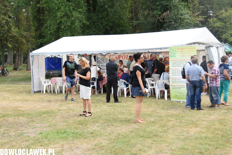 Miodowe Lato w Zarzeczewie