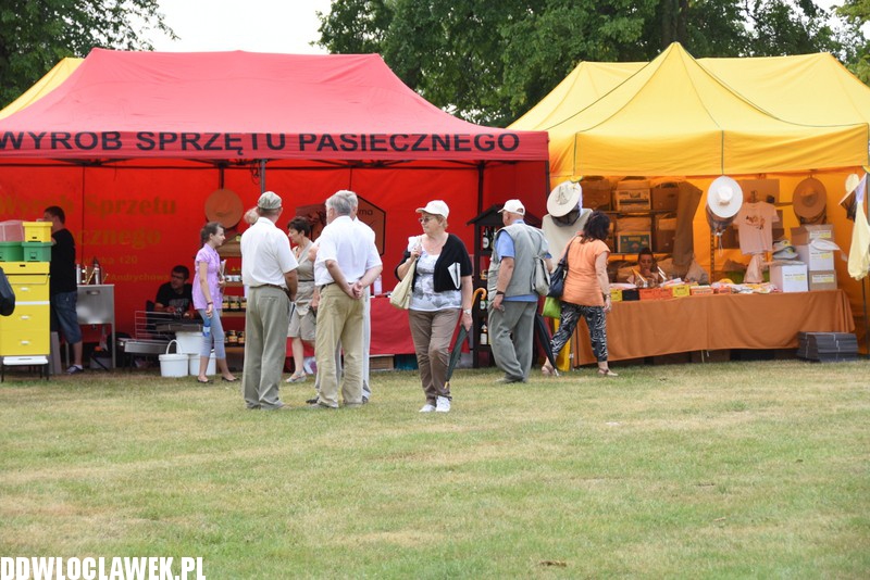 Miodowe Lato w Zarzeczewie