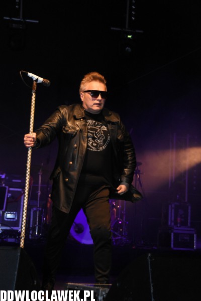 Koncert zespołu T-love