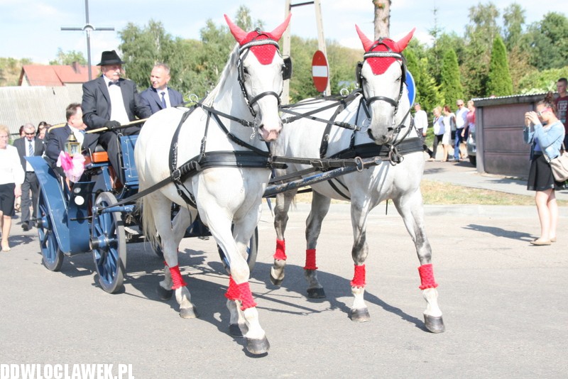 Dożynki powiatu lipnowskiego