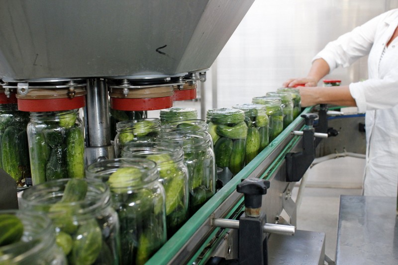Produkcja ogórków marki Dworski