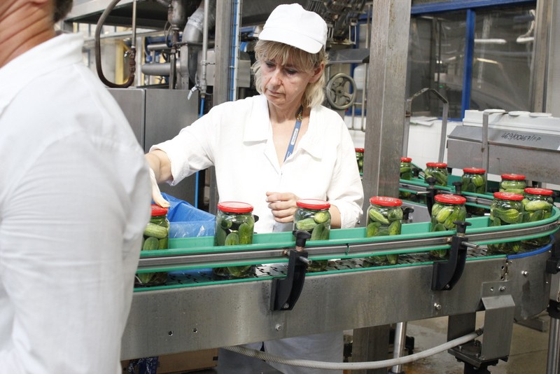 Produkcja ogórków marki Dworski