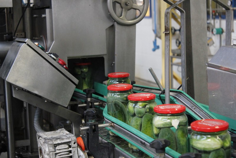 Produkcja ogórków marki Dworski