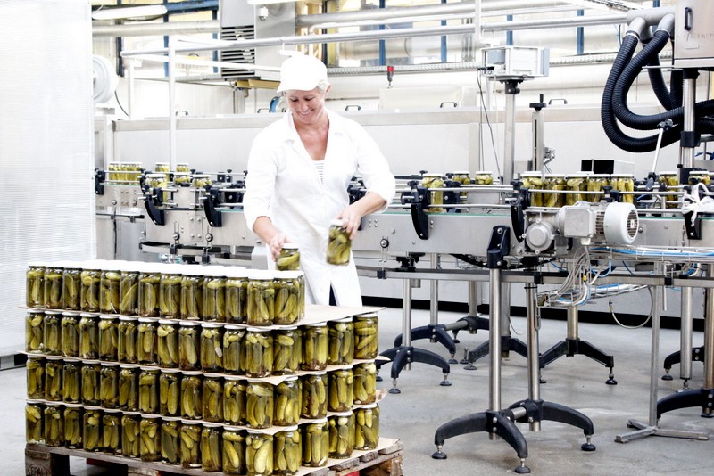 Produkcja ogórków marki Dworski