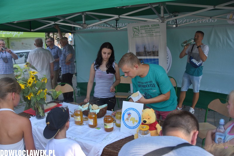 Piknik Na zdrowie na Starym Rynku