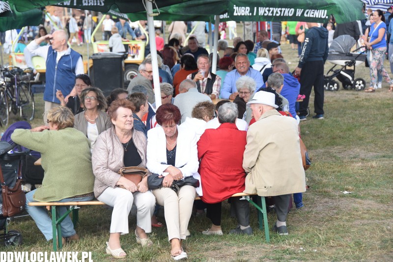 Festyn Solidarności przy Wiejskiej