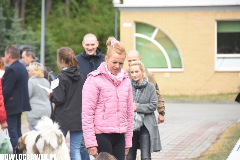 Kujawska wystawa psów rasowych