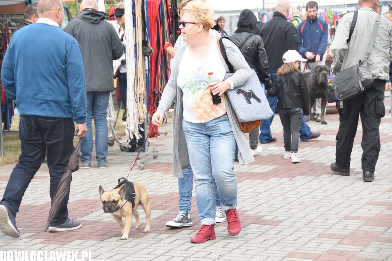 Kujawska wystawa psów rasowych