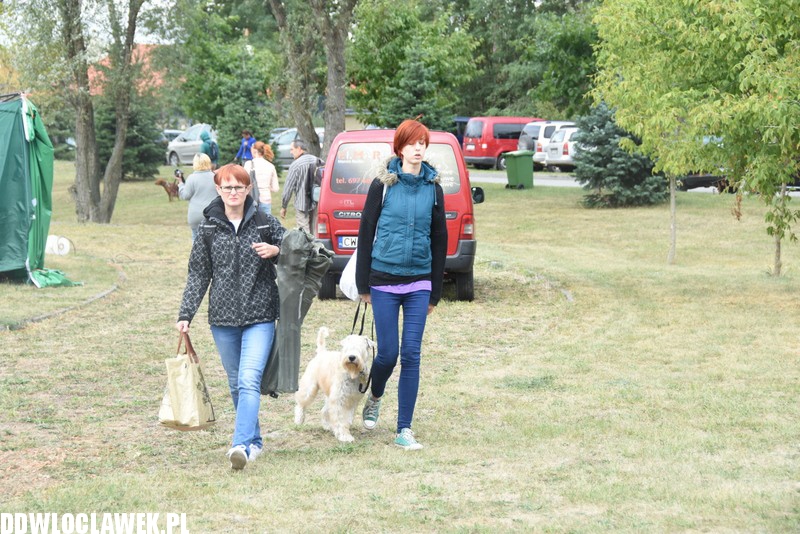 Kujawska wystawa psów rasowych
