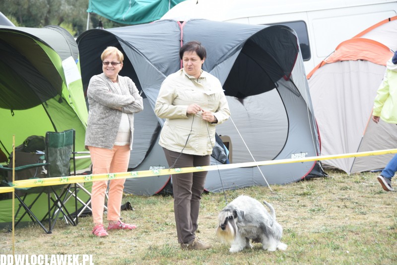 Kujawska wystawa psów rasowych
