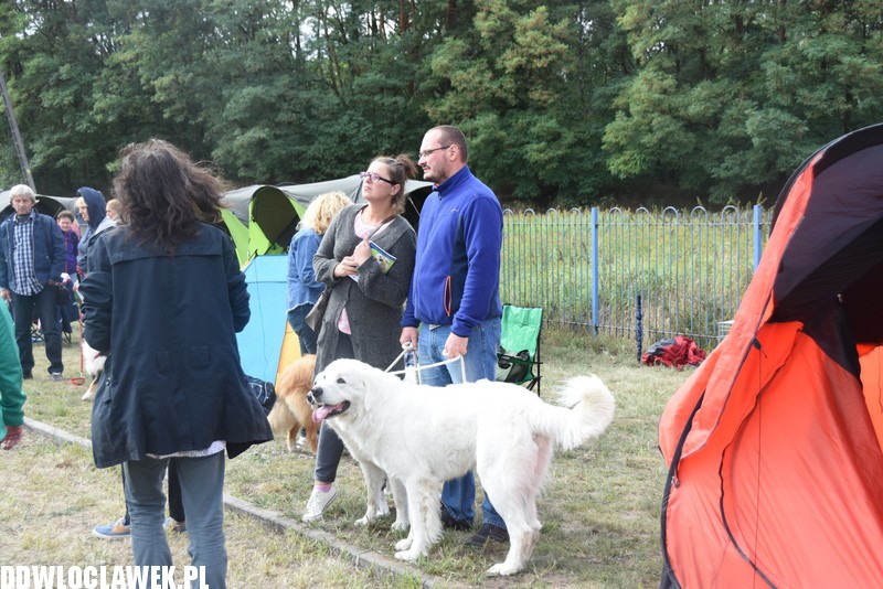 Kujawska wystawa psów rasowych