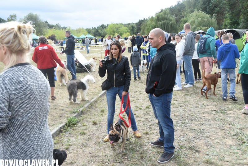 Kujawska wystawa psów rasowych