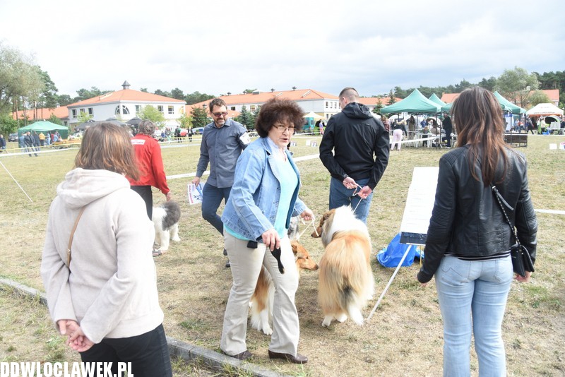 Kujawska wystawa psów rasowych