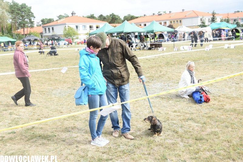 Kujawska wystawa psów rasowych