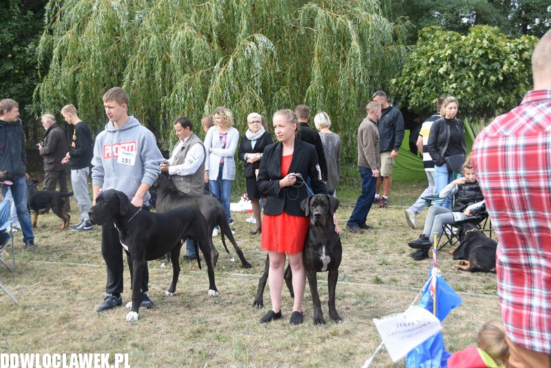 Kujawska wystawa psów rasowych