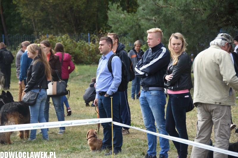 Kujawska wystawa psów rasowych