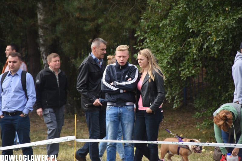 Kujawska wystawa psów rasowych